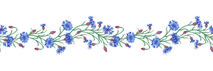 Blue cornflowers horizontal pattern watercolor illustration. Botanical composition element isolated from background. Suitable for cosmetics, aromatherapy, medicine, treatment, care, design,