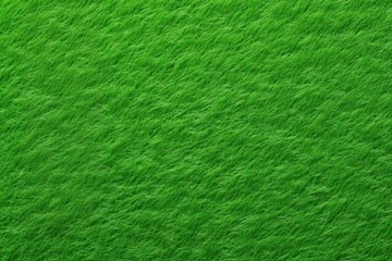 Green lawn backgrounds texture.