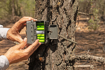 A man who placed a photo trap in a tree to film wild animals.