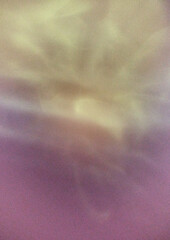 smoke purple pattern background