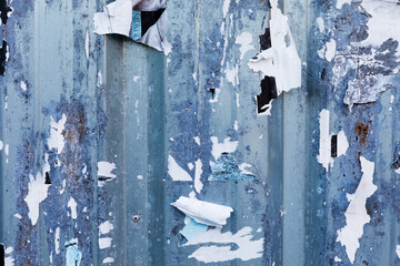 Ripped and Weathered Blue Corrugated Metal Wall with Peeling Paint