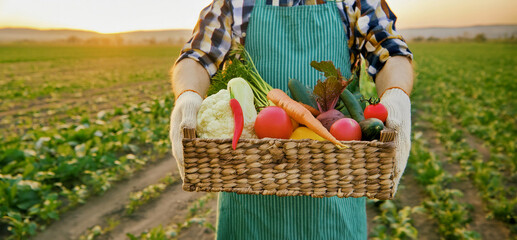 Illustration of a young man holding a basket of fresh, colorful vegetables in a serene rural setting. Generative Ai. - obrazy, fototapety, plakaty