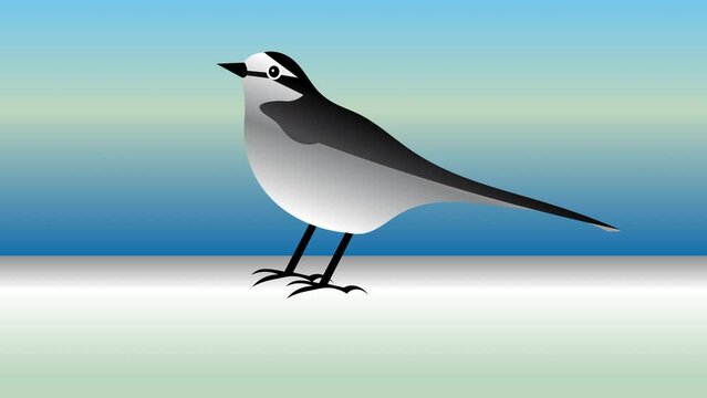 鶺鴒鳴　せきれいなく