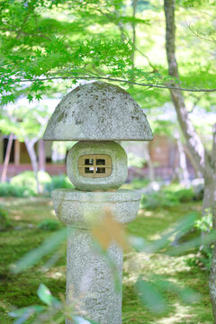 圓光寺 - Enkoji Temple in kyoto, Japan