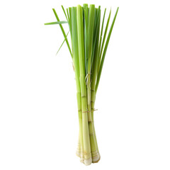  A fresh stalk of lemongrass, its fibrous texture clear and detailed, transparent background, PNG Cutout
