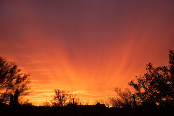 Sunset in the Arizona desert