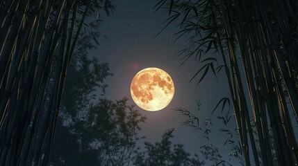 A full moon shines through a sparse bamboo forest at night.

