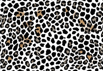 seamless skin cheetah pattern panther background Abstract leopard animal white design camouflage Jaguar Black fur Print Vector