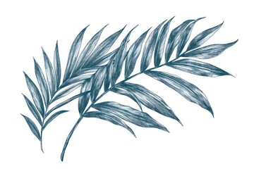 Antique of palm leaves drawing sketch pattern.