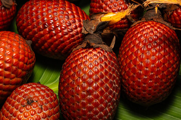 AGUAJE, A VERY CONSUMED FRUIT IN THE AMAZON REGIONS, AGUAJE OR BURUTI IS A DELICIOUS FRUIT, PHOTOGRAPH OF AGUAJE FRUIT, BURUTI FRUIT