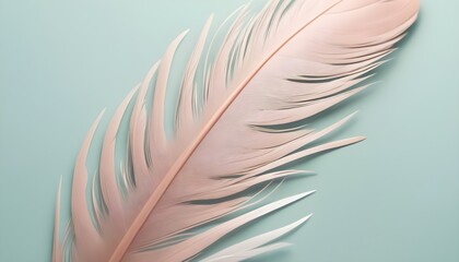 Beautiful Feather Illustration Digital Artwork Magical Background Soft Design