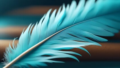 Beautiful Feather Illustration Digital Artwork Magical Background Soft Design