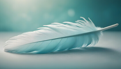 Beautiful Feather Illustration Digital Artwork Magical Background Soft Design