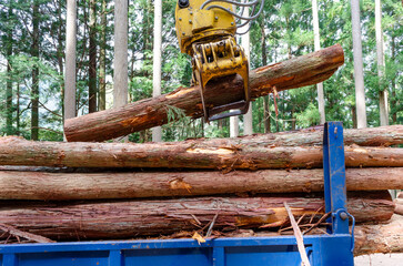 トラックに丸太を積載している様子