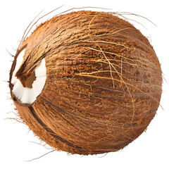  A whole, fresh coconut with a rough exterior, shot in ultra HD, transparent background, PNG Cutout