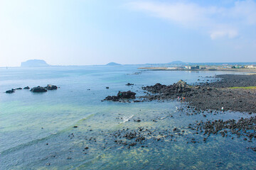 여름 제주도 바다 해변 해루질
summer jeju island sea beach