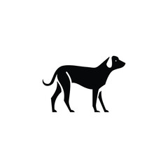 Dog logo design 