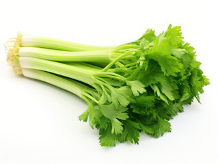 Fresh Celery Isolated on white background