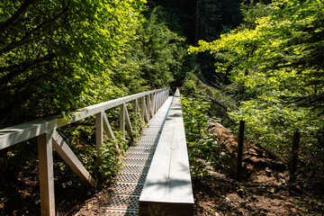 Metal bridge over the little river or mountain creek and hiking trail in provincial park Fraser...