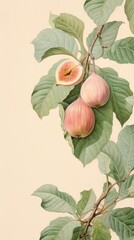 Wallpaper on figs plant peach freshness.