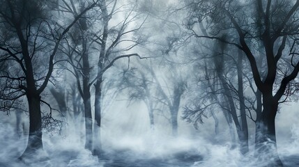 Fog-covered forest, featuring trees shrouded in mist and a sense of mystery and intrigue.