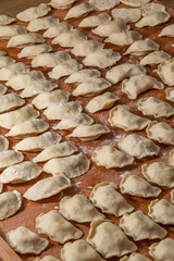 Beautiful rows with dumplings. Ukrainian national dish. Close-up.