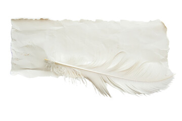 A torn piece of paper fluttering in the wind, isolated on white background