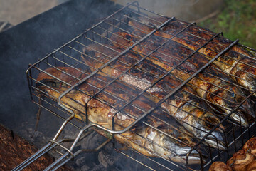 Grilled fish. Cooking fish on the barbecue grid.