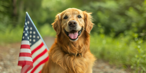 Happy golden retriever dog with 4th of july flag in outdoor nature background.