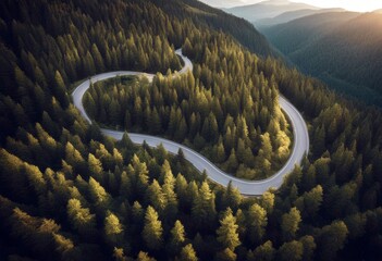 'view aerial road pass winding mountain pine high dense trough green woods roadway trip car vehicle transportation transport truck rural destination vacation summer overhead highway driving' - Powered by Adobe