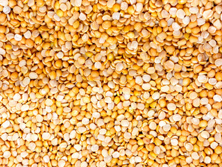 A pile of yellow and white Pigeon peas (Tuvar Dal)