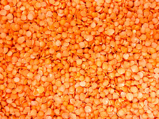 A pile of red lentils (Masoor Dal).