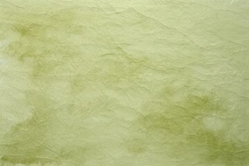 Green fibre mulberry paper backgrounds textured rough.