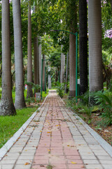 camino a la nauraleza