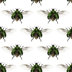 Vintage style elegant beetle seamless pattern. Watercolor painted illustration. Hand drawn beautiful green bug element. Vintage style beetle with spread wings seamless pattern on white background