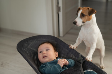 A dog rocks a cute three month old boy dressed in a blue onesie in a baby bouncer. 
