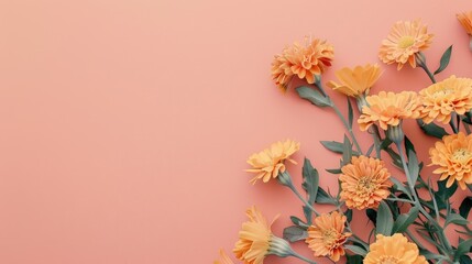 marigold flowers on top of solid orange background with copyspace for text
