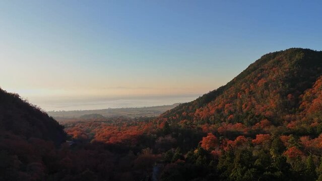 紅葉する早朝の比良山　4Kドローン映像