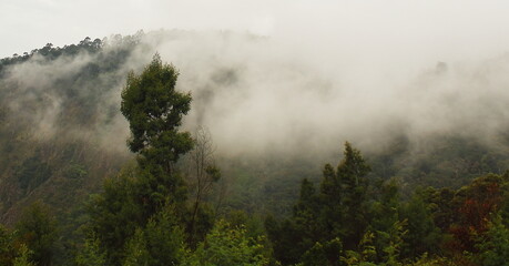 monsoon clouds gathering over palani hills, part of western ghats mountains range, wildernessn of tropical rainforest, kodaikanal in tamilnadu, india