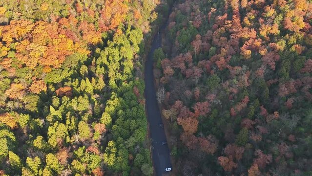 紅葉する早朝の比良山　4Kドローン映像