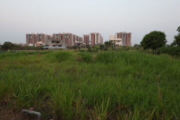 Agroculture is fighting a losing battle against realty sector in Hyderabad of Telangana in India. Photo: April 28, 2024