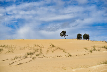 Walk through the sand dunes to Tin City