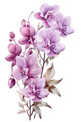 Purple orchid with a clean white aesthetic backdrop water color, drawing style, isolated clear background