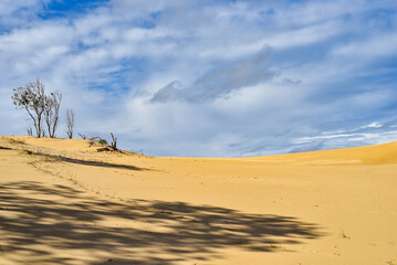 Walk through the sand dunes to Tin City