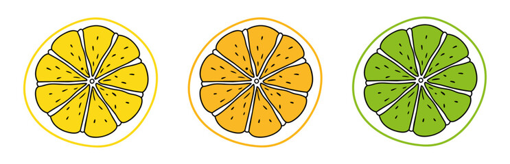 Citrus slice set. Lemon slice. Orange slice. Lime slice. Vector illustration