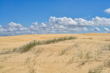 Walk through the sand dunes to Tin City
