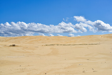 Walk through the sand dunes to Tin City