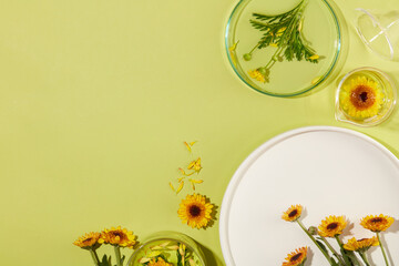 The pastel green surface features a lot of Calendula flowers displayed with glassware and a ceramic...