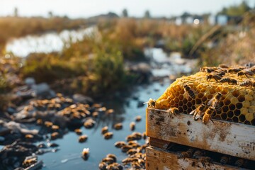 A beehive against a background of contaminated water, demonstrating the danger that toxic substances pose to bees. Concept: environmental pollution, extinction threat. Bee day, 20 may.
