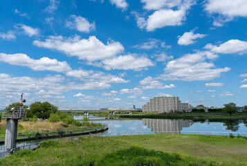 Fototapeta premium 登戸，和泉多摩川からの多摩川の風景